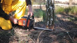 Mulching Services in Tarpey Village, CA